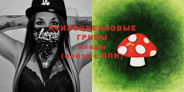 прущий лед Алзамай