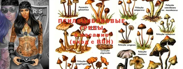 прущий лед Алзамай