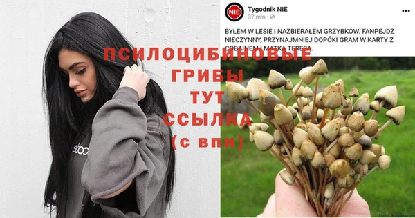эйфоретик Алексин